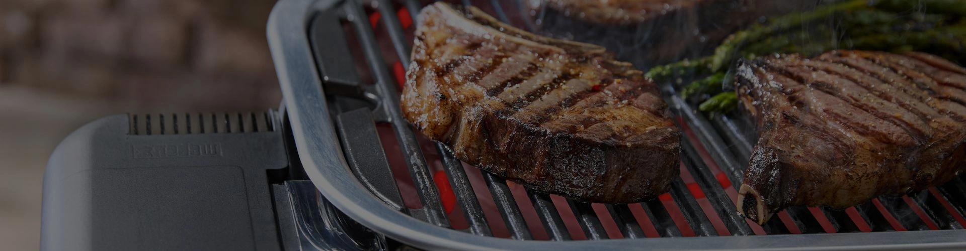 <h1>Grill Electric</h1>